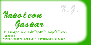napoleon gaspar business card